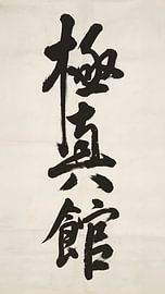 Der Geist des Shin-Kyokushin von Victor Weijers