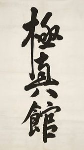 Der Geist des Shin-Kyokushin