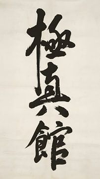 Der Geist des Shin-Kyokushin