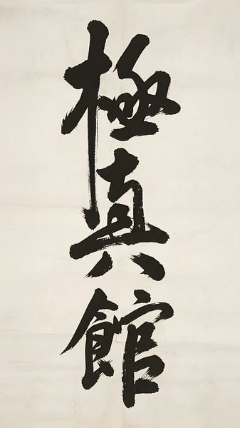 Spirit of Shin-Kyokushin by Victor Weijers