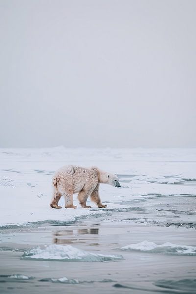 Polar bear by Poster Art Shop