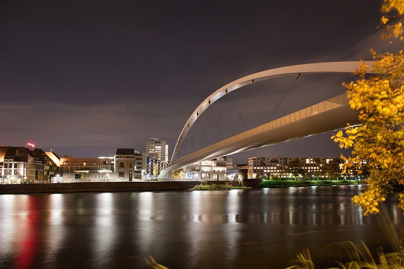 Hochbrücke über die Maas von Herman van Ommen