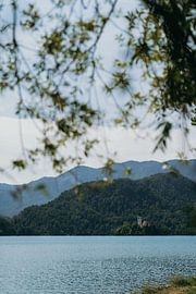 Blick auf den Bleder See Slowenien von sonja koning