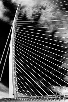 De 'Assut de l'Or Bridge' - kabelbrug in Valencia (z/w) van Wesley Flaman