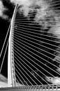 De 'Assut de l'Or Bridge' - kabelbrug in Valencia (z/w) van Wesley Flaman thumbnail