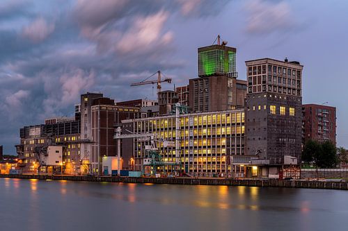 Codrico Fabriek Rotterdam Rijnhaven Gebouw