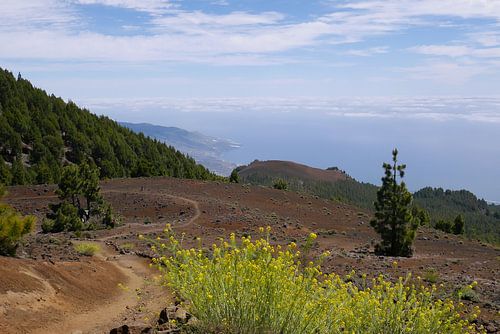 Over de  vulkaan naar de oceaan