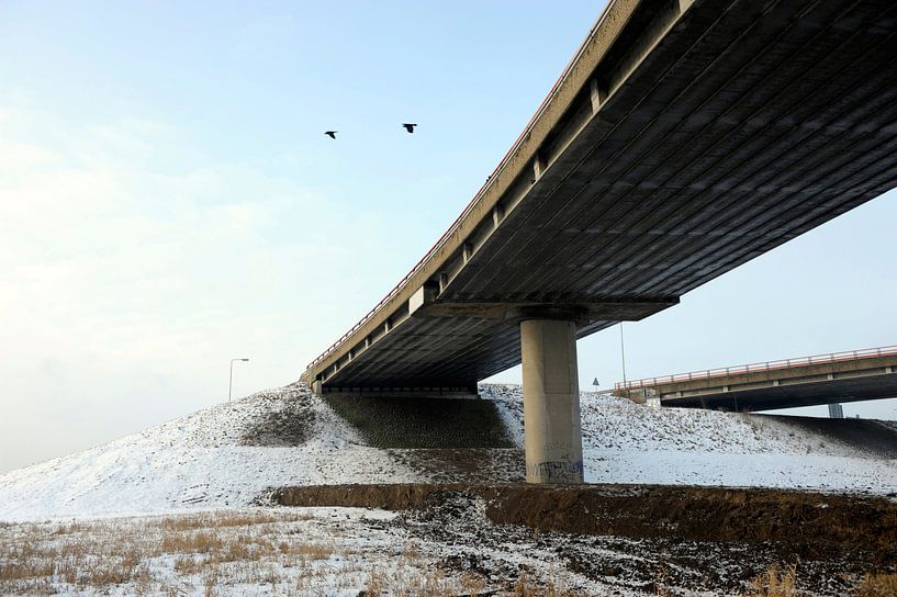 Viaduct van Michel Mees