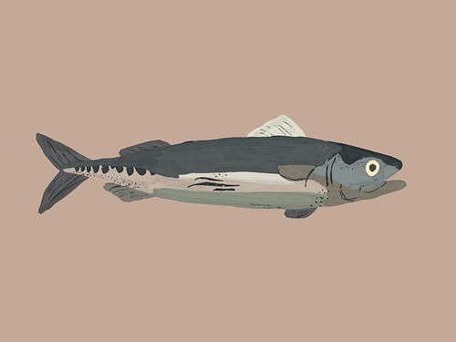 Sardine Illustration