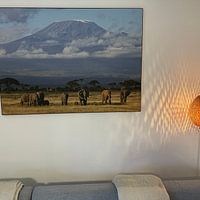 Klantfoto: Kilimanjaro Olifanten van Roland Smeets, als ArtFrame
