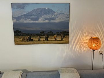 Klantfoto: Kilimanjaro Olifanten van Roland Smeets