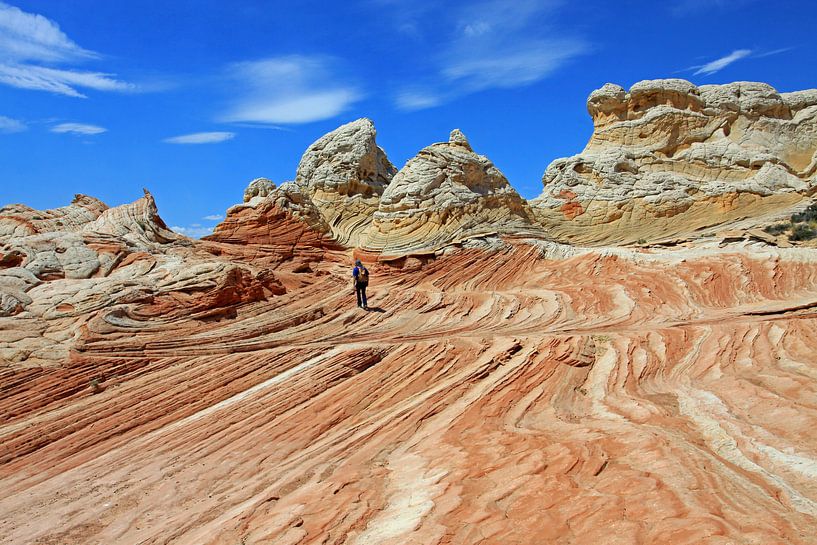White Pocket in the United States by Antwan Janssen