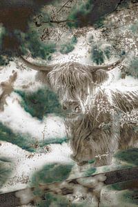 Schottischer Highlander