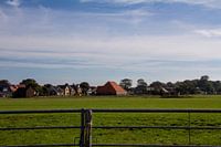 Texel