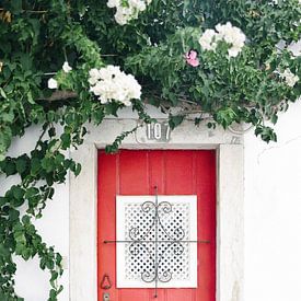 The red door of Cascais | Colourful travel photography Portugal by Mirjam Broekhof