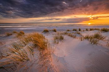 Sunset on the beach of Westerschouwen on Schouwen-Duivenland in Zeeland with dunes in the foreground