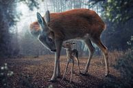 Mother and Fawn, John Wilhelm by 1x thumbnail