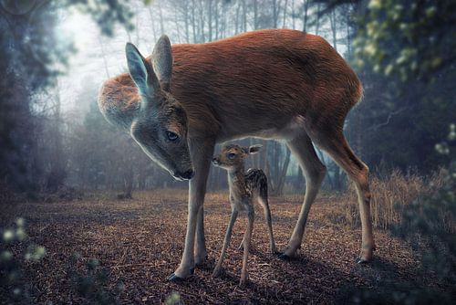 Moeder en Fawn van John Wilhelm
