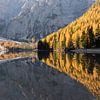 Herbst-Holz Reflexion - Pragser Wildsee, Dolomiten, Italien von Thijs van den Broek