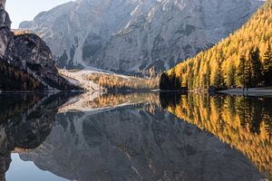 Autumn Woods Reflection - Lago di Braies, Dolomites, Italy
