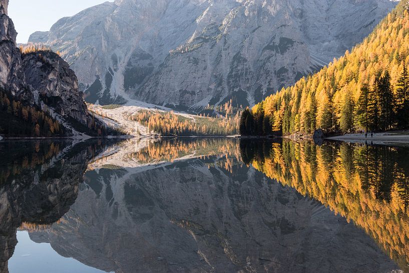 Herfstbossen weerspiegeling - Lago di Braies, Dolomieten, Italië van Thijs van den Broek