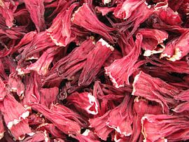 Dried hibiscus flowers by Daphne Wessel