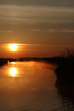 Paysages néerlandais sur Menno Schaefer