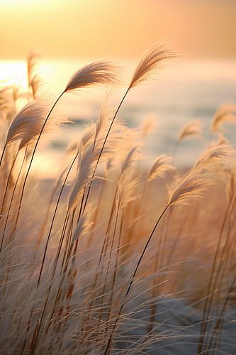 Impressions de plage No 16