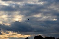  Ballon in de wind van Marcel Ethner thumbnail