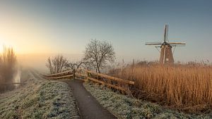 Nebliger Morgen in Kinderdijk