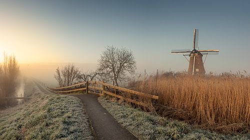 Foggy morning in Kinderdijk