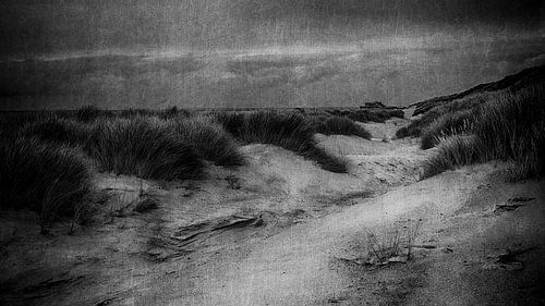 Duinlandschap op Terschelling