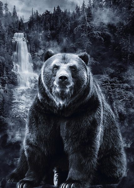 Bear Forest by Mateo
