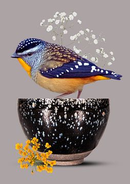 Bird with white spots