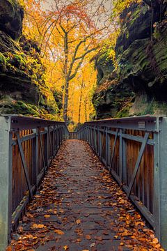 Loop naar de herfstkleur van Richard Nell