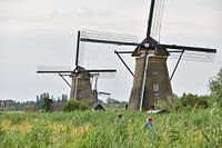 Mills of Kinderdijk
