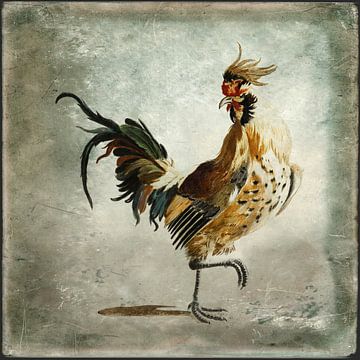 A rooster by Western Exposure