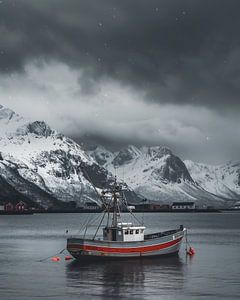 Boot im Fjord