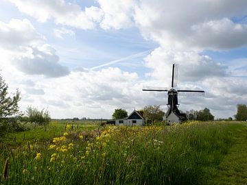 Molen in typsich nederlands landschap