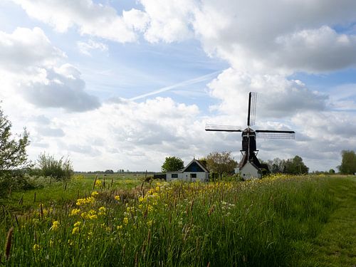 Molen in typsich nederlands landschap van Marq Photography