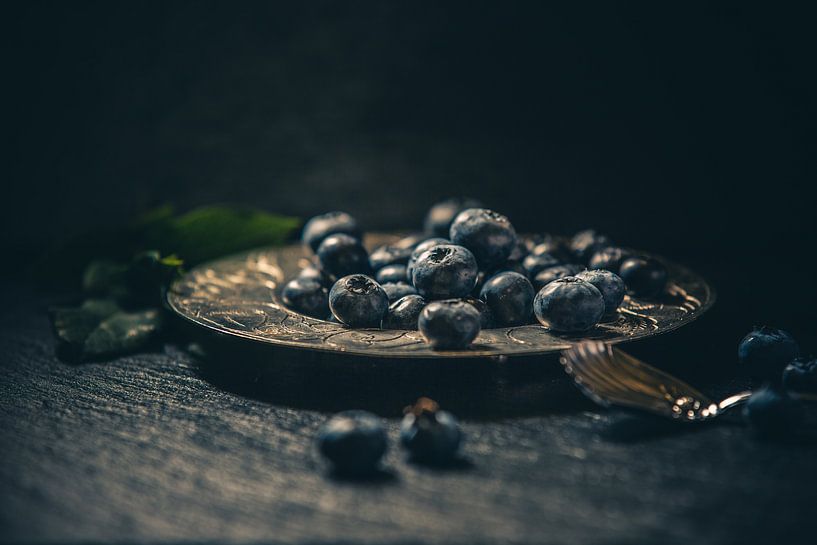 Eine Handvoll Blaubeeren von Regina Steudte | photoGina