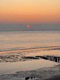 Paalhoofden bij vloed in zeeland
