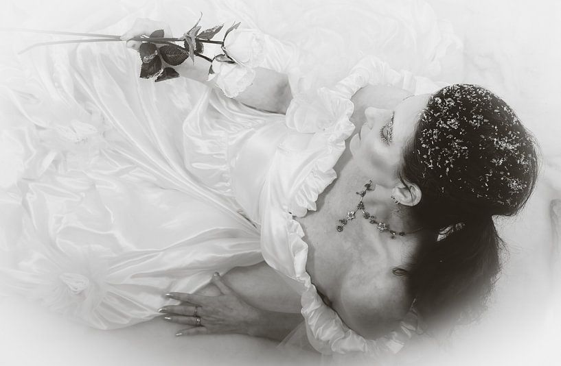 Winter Queen 6 van peterheinspictures