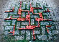 Follow the pattern