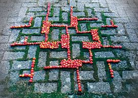 Folgen Sie dem Muster von Mies Heerma