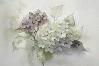 Rustig bloemen schilderij:  Hortensia's in pasteltinten