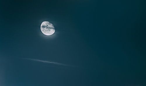 De heldere kant van de maan - Volle maan voor de wezens van de nacht