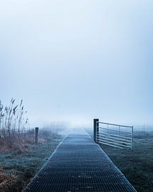 Nebliger Morgen im Bossche Broek von Bram Veerman