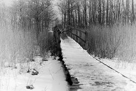 The Bridge by Jörg Hausmann