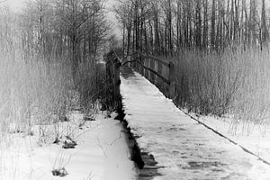 Die Brücke